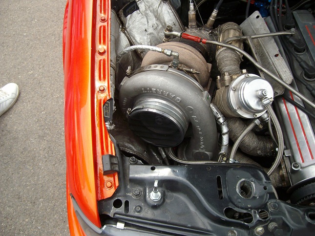 "голям" сладур....симпатяга