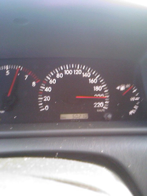 моята пъргавелка