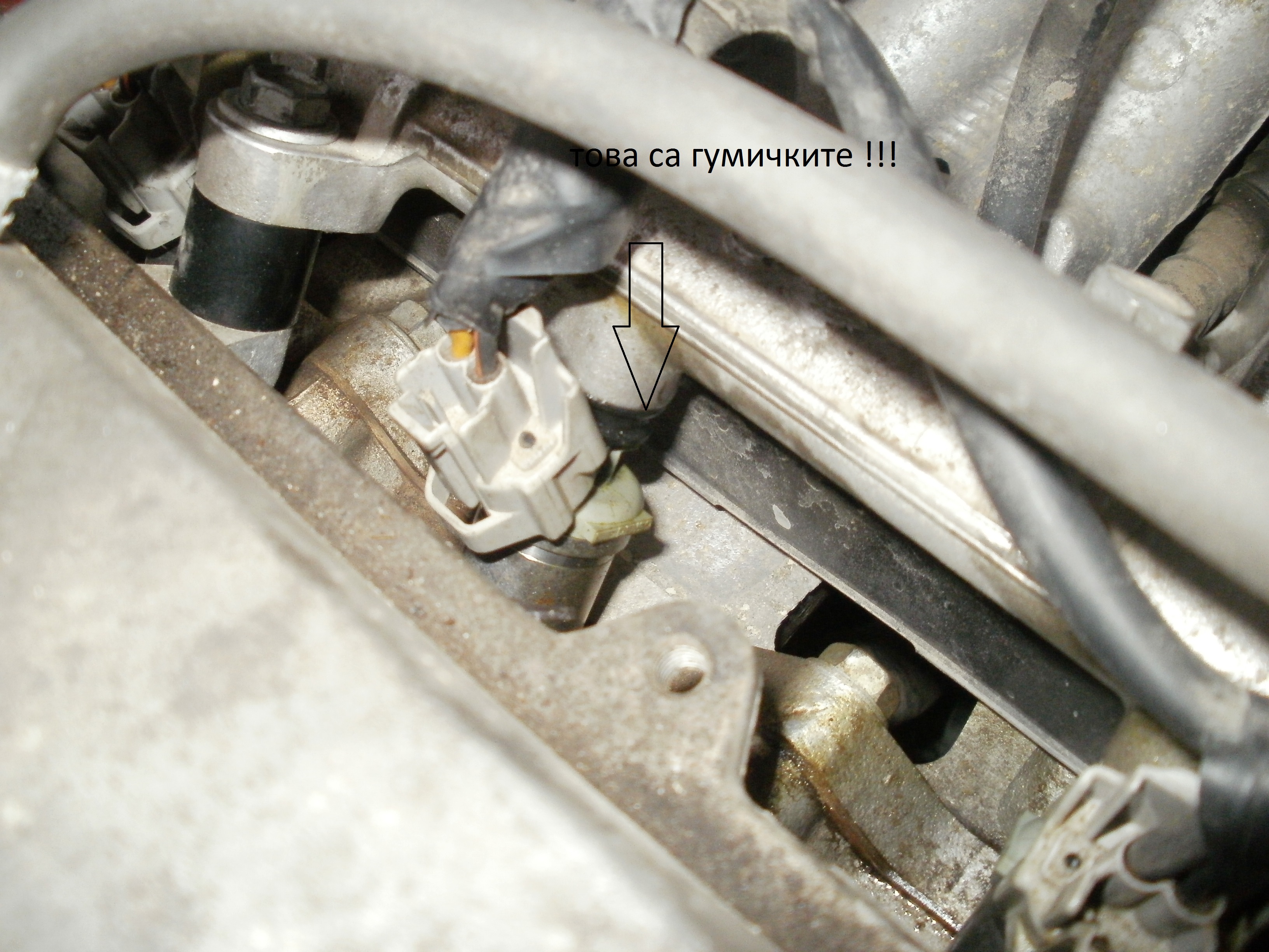 PB060124 гумички.jpg