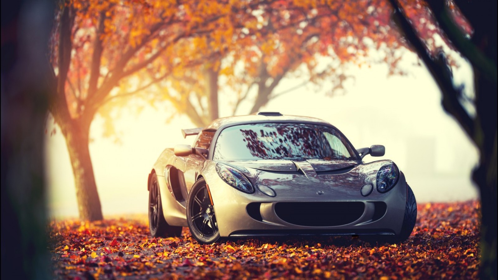 cars_lotus_elise_111s_autumn_1600x900_28917.jpg