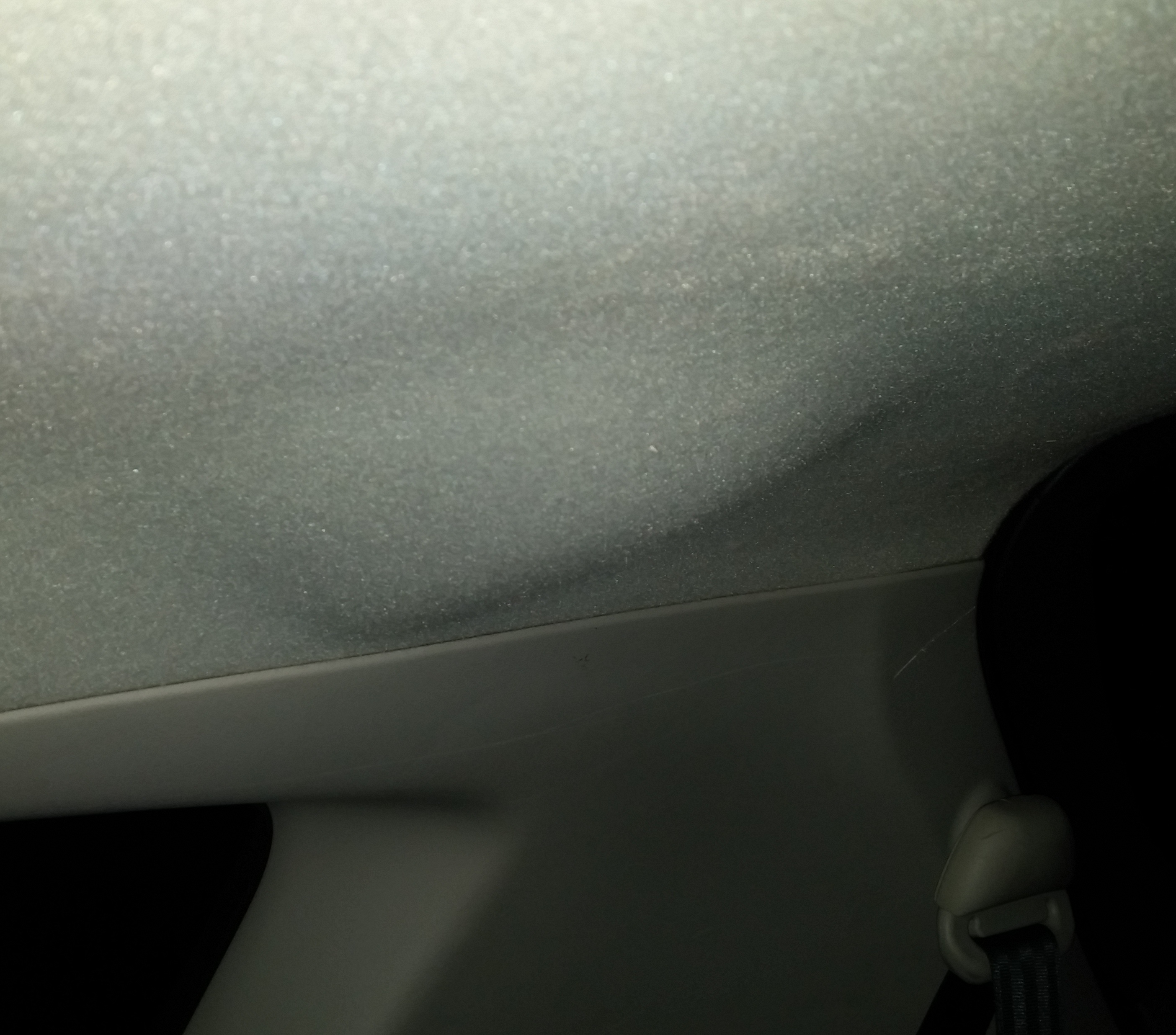 20161129_175109 (3).jpg