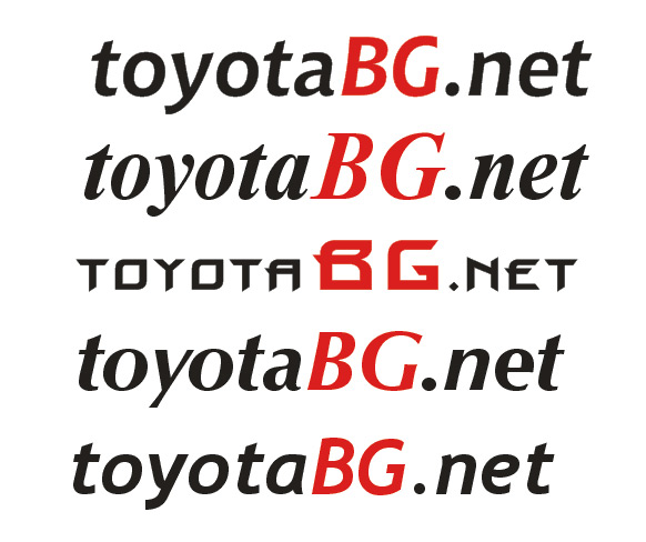 toyotabgnet.jpg