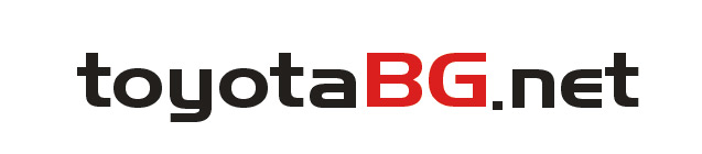toyotabgnet-2.jpg