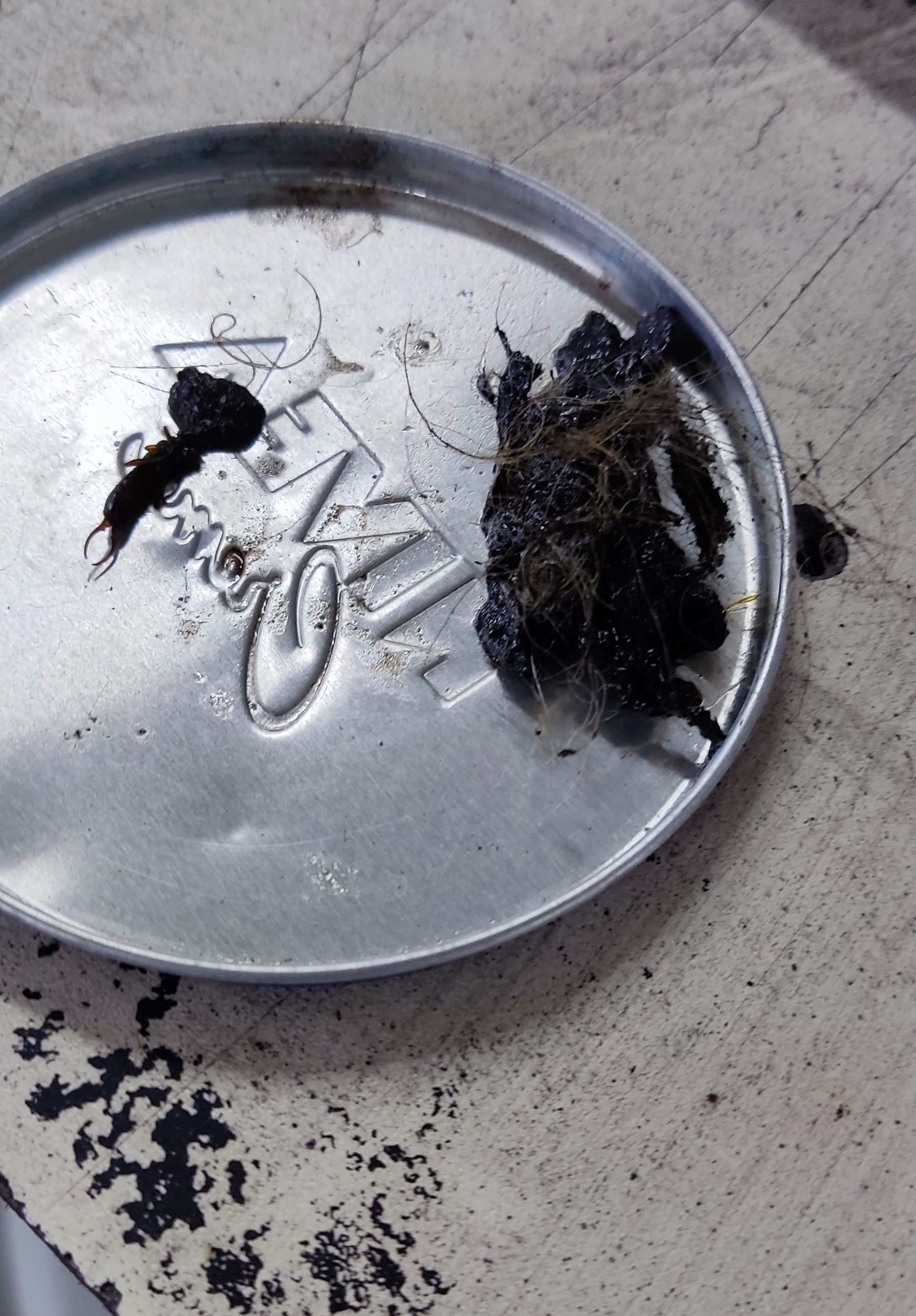 от резервоара.jpg