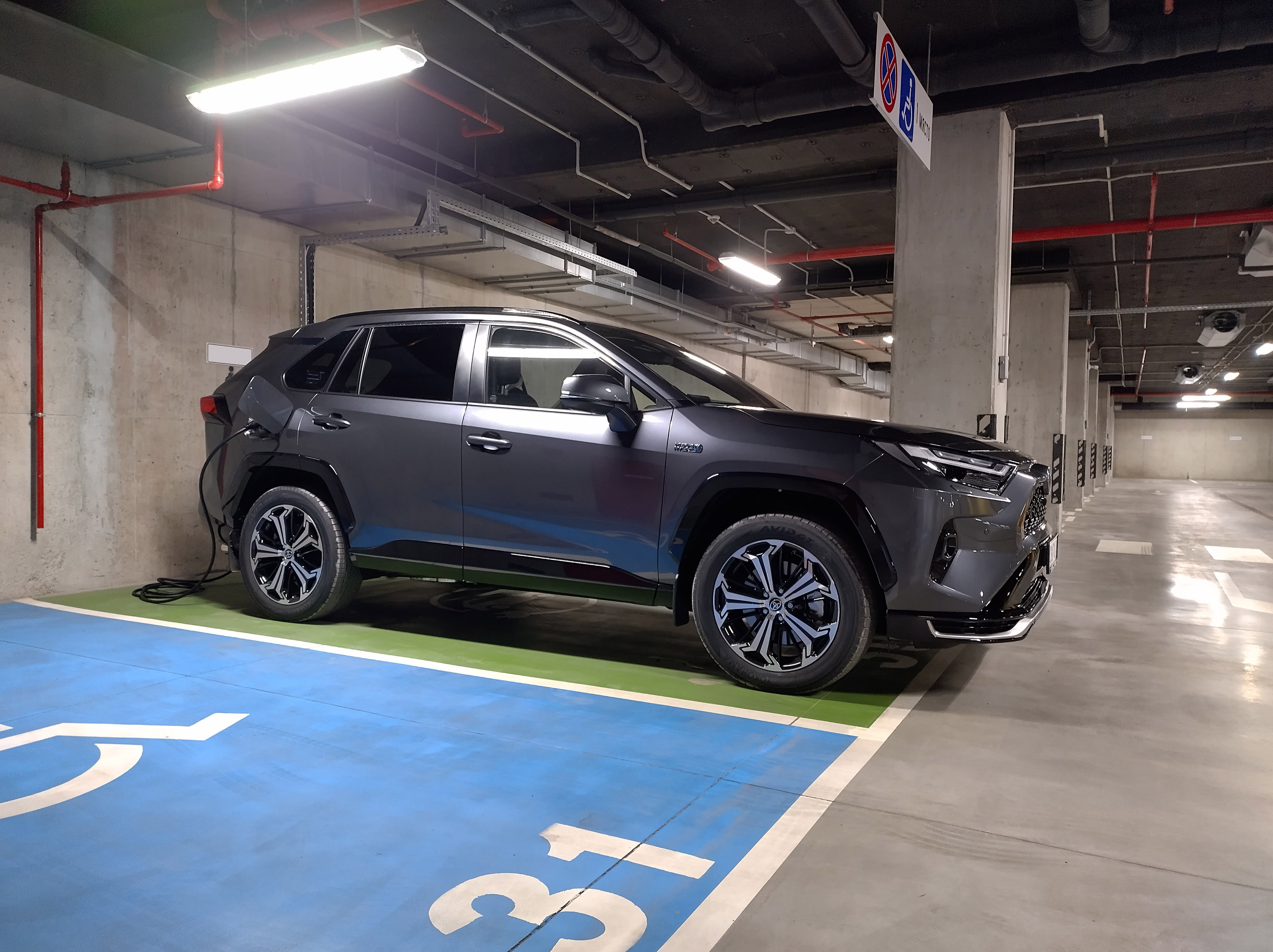 Forum Monster Ravka 2.jpg