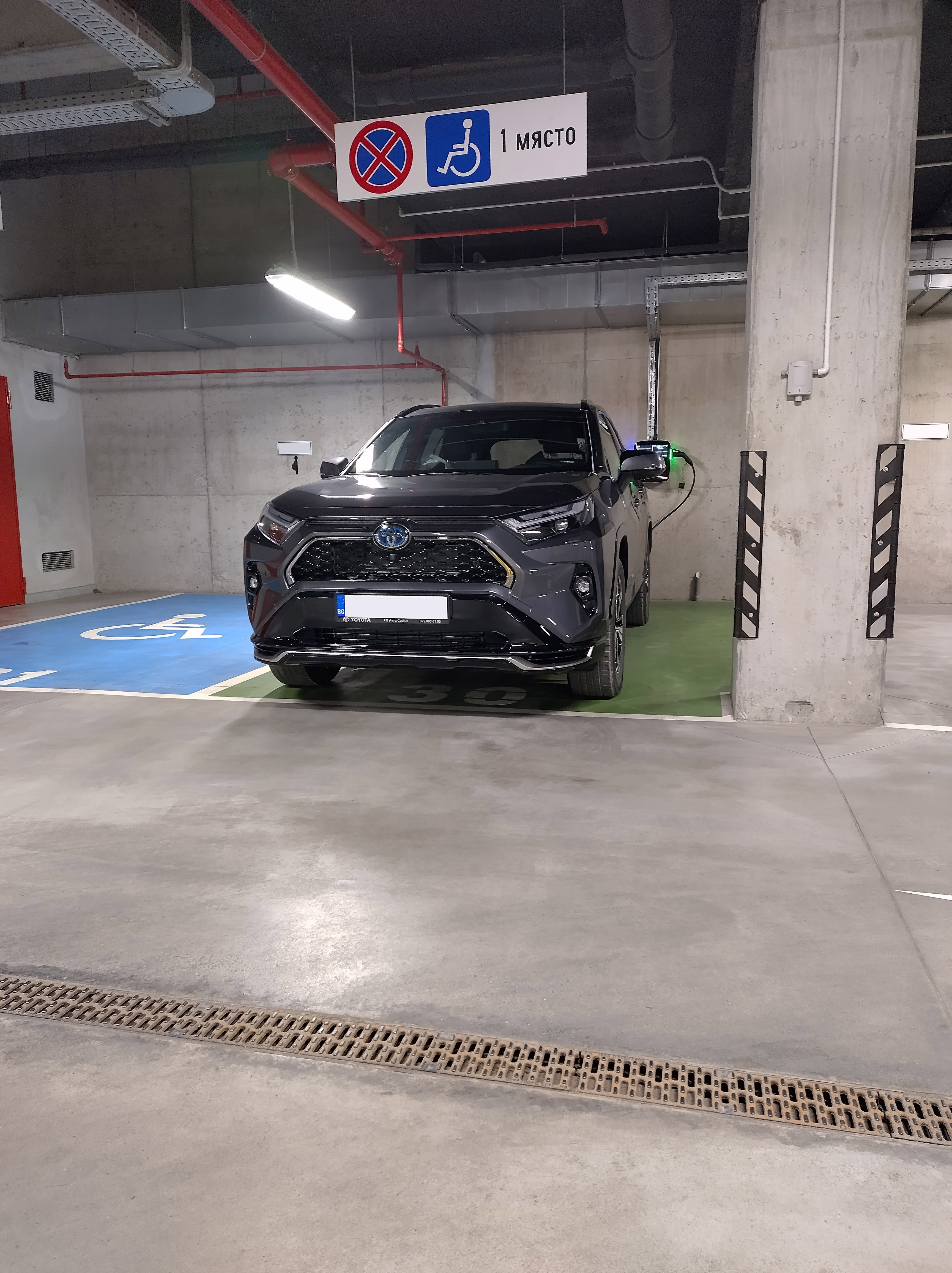 Forum Monster Ravka 3.jpg