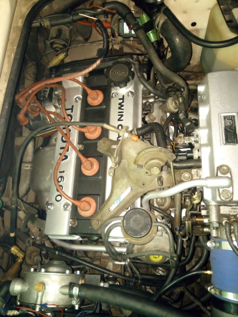 IMG_20200719_134734 (Medium).jpg