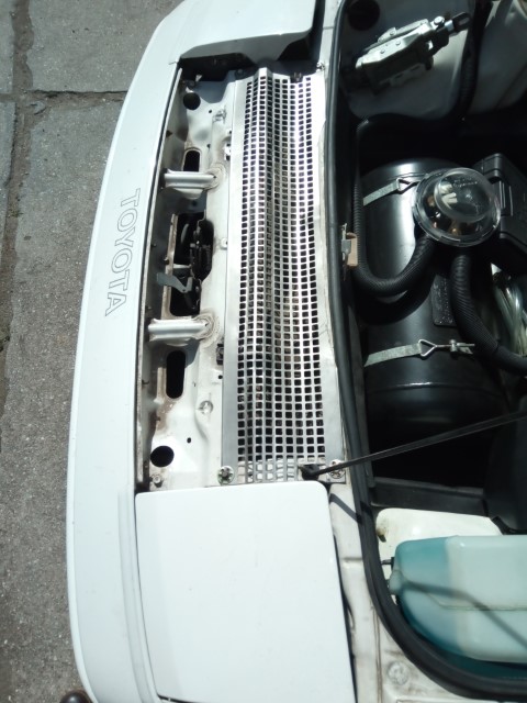 IMG_20220409_105846 - Copy (Small).jpg