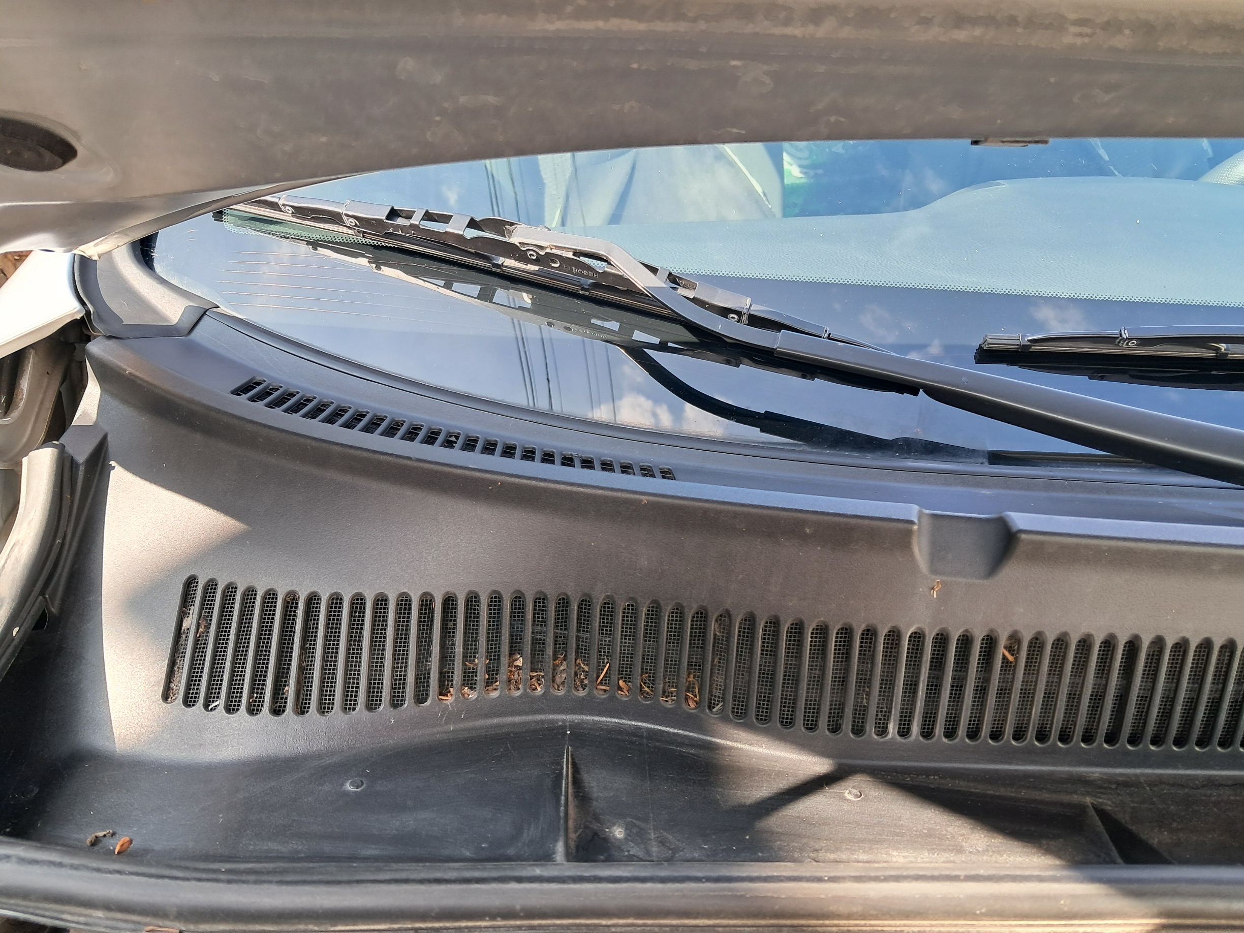 Изглед кора дясно (гледано от шоф.място) тук къде е дренажа, как да махна тези борови иглички