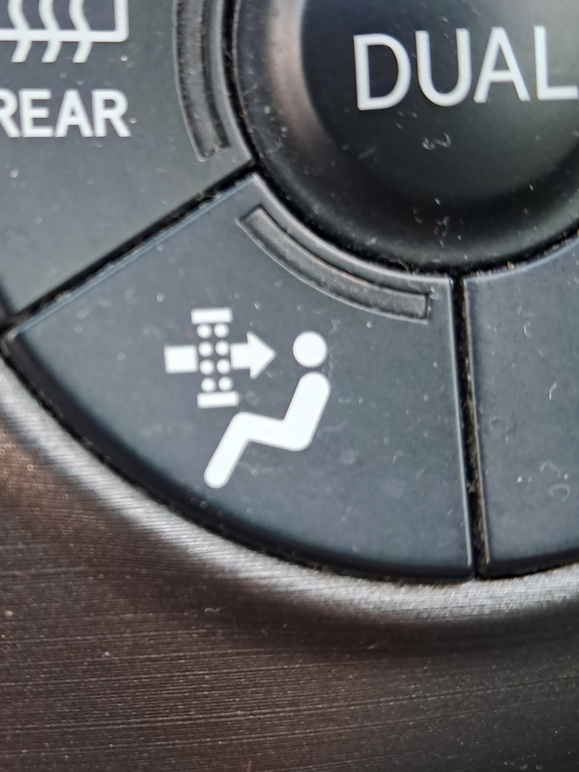 Бутон , функция?