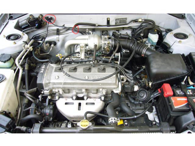 11188312404996194_5 copy.jpg