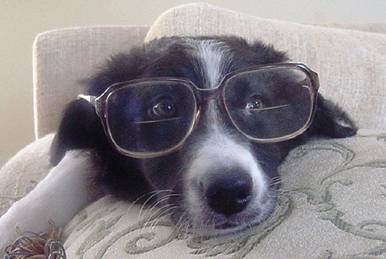 Колата е на 200 хиляди но в Тойота ми казаха че двигателят е много добър и че ще изкара 500хил. На магистралата върви с 180км./ч. Само това е проблема че по някой път само като е топъл дв. тябва да завъртя 4-5 оборота за да запали и това ме дразни а по пр